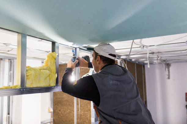 Best Insulation for Specific Applications in Vista, CA