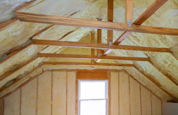 Best Insulation Maintenance and Repair in Vista, CA