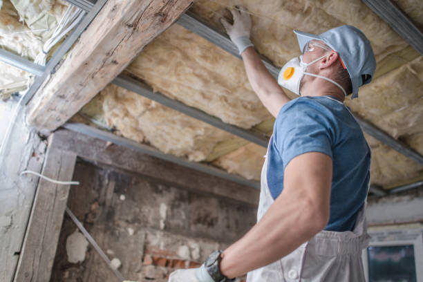 Types of Insulation We Offer in Vista, CA